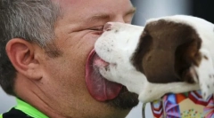 De ce câine linge fața și mâinile proprietarului?