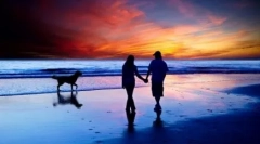 De ce câinele este numit cel mai bun prieten al omului