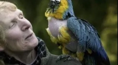 O selecție a celor mai vechi animale care trăiesc pe pământ