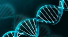 Concepte de genetică