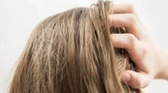 Ordinea de aplicare a factei nuduch de ultimele și gdid