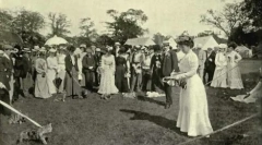 Ratele de pisici britanice și scoțiane: caracteristici și diferențe comune