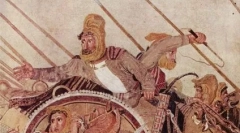 Pisici de ras cu un bot strălucitor