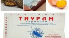 Praf tiram de la gandaci