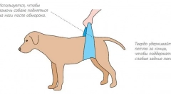 Pierderea conștienței