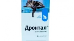 Creșterea salivei de pisică: de ce apare și ce măsuri de făcut