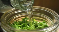 Reguli de utilizare a tincturii și a pelinului scalar