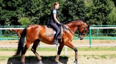 Instrucțiuni de siguranță