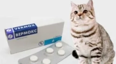 Pregătirea de la paraziți vermoks: instrucțiuni de utilizare pentru copii