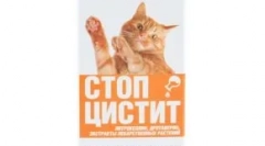 Tratament stop cistită pentru pisici: remediu eficient pentru bolile inflamatorii ale vezicii urinare și rinichi