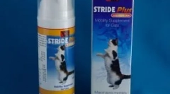 Plus medicament: remediu eficient pentru bolile articulațiilor din pisici