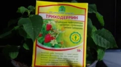 Pregătirea triphoderminului și a instrucțiunilor pentru utilizarea sa