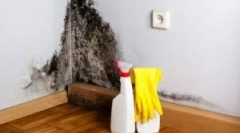Cauzele apariției mucegaiului acasă