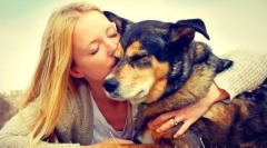 Adăpost pentru câini în moscova și regiunea moscovei. Dă-ți viața unui prieten