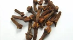 Aplicarea de garoafe din paraziți