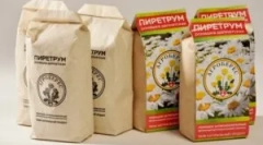 Utilizarea pyrethrum pentru a distruge insectele