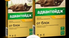 Aplicarea avantajului medicamentului (advanda) pentru pisici