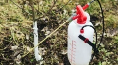 Aplicație în grădinărit de epifanie de fier