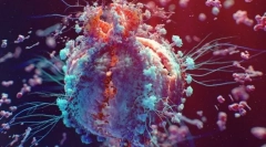 Semne de ființe vii