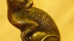 Originea unei pisici domestice