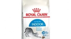 Pisici simple de om: de ce le iubim atât de mult