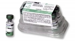 Purete pentru pisici: protecție împotriva infecțiilor