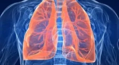 Dezvoltarea paraziților în plămâni umani: simptome și diagnostice