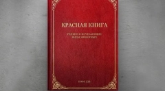 Păsări rare eurasia