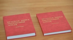 Animale rare eurasia