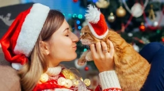 Anul nou fericit, pisica! 14 idei de cadouri de anul nou pentru pisici