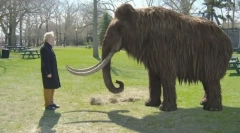 Bine ați venit înapoi: 10 animale dispărute care pot reveni în curând