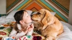 Cele mai afectuoase rase de câini din lume