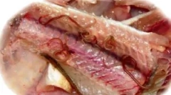 Simptomele și tratamentul opismului