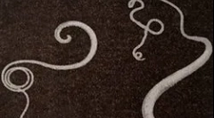 Simptomele și tratamentul infecției cu puterea