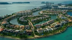 Singapore: caracteristici de rasă și reguli de conținut