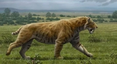 Smilodon