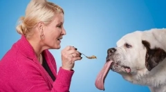 Câine cu cea mai lungă limbă din lume