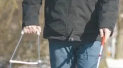 Specializarea câinilor