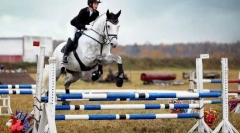 Sportivi, artiști, salvatori