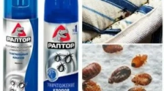 Spray și aerosoli de la bedbugs