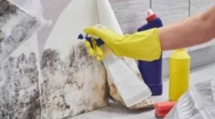 Instrumente de îndepărtare a matriței (ciuperci de mucegai)