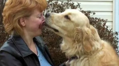 Top 10 animale cele mai curajoase