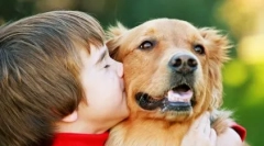 Top 10 lucruri care urăsc câinii