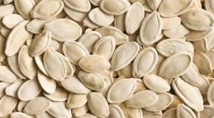 Top 10 animale care se tem de femei