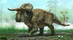 Dinozaurii de herbivore