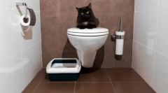 Cat toalete închise: alegeți confort pentru animale și curățenie pentru casă