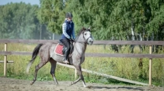 Lecții de călărie pentru începători