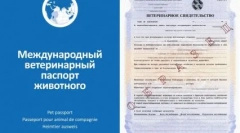 Pe drumul cu un câine: cele mai bune rase pentru călătorie