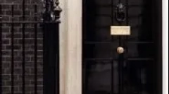 În ce țări pisicile sunt uniforme și constau în serviciu