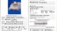 Pașaport veterinar pentru cat: nuanțele de proiectare a documentelor
